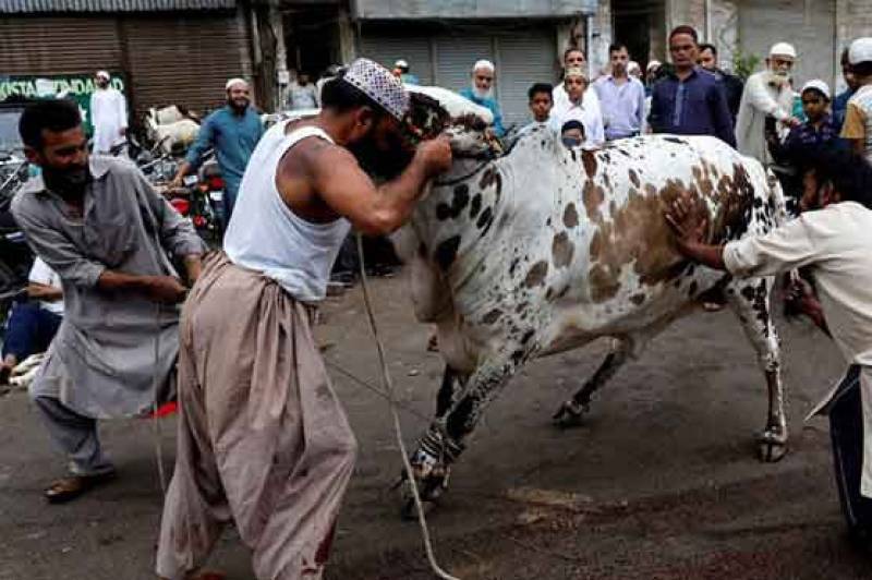  عید قربان 2025 – قسائیوں کے ریٹ بھی قربانی مانگنے لگے