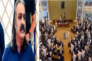 وزیر اعلیٰ خیبرپختونخوا علی امین گنڈاپور پریس کانفرنس کے دوران "ڈونکی ٹریڈنگ" کا جملہ استعمال کرتے ہوئے