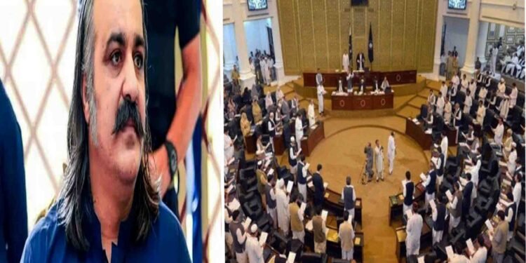 وزیر اعلیٰ خیبرپختونخوا علی امین گنڈاپور پریس کانفرنس کے دوران "ڈونکی ٹریڈنگ" کا جملہ استعمال کرتے ہوئے