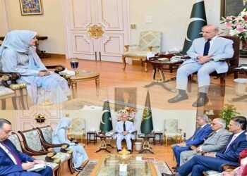 ڈاکٹر فوزیہ صدیقی کی وزیراعظم شہباز شریف سے ملاقات، عافیہ صدیقی کی رہائی پر تبادلہ خیال