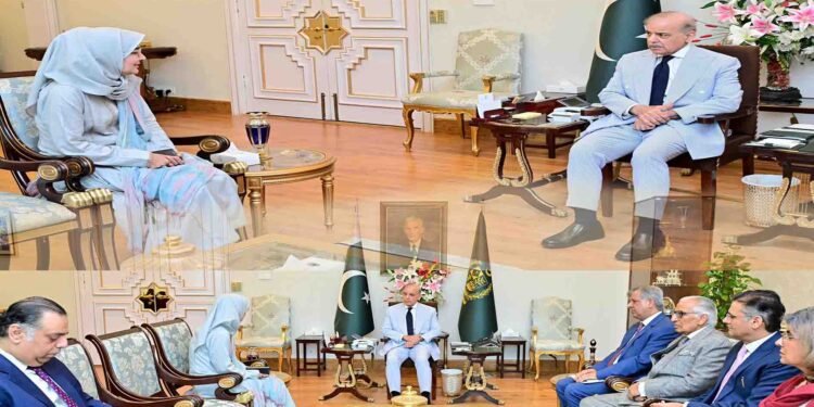 ڈاکٹر فوزیہ صدیقی کی وزیراعظم شہباز شریف سے ملاقات، عافیہ صدیقی کی رہائی پر تبادلہ خیال