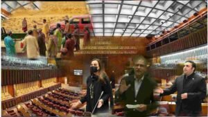 بلوچستان کے علاقے ڈیگاری میں غیرت کے نام پر قتل کی سینیٹ میں شدید مذمت