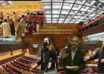 بلوچستان کے علاقے ڈیگاری میں غیرت کے نام پر قتل کی سینیٹ میں شدید مذمت