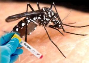 کراچی میں ڈینگی وائرس سے پہلی ہلاکت کے بعد اسپتال میں مریضوں کے لیے ہنگامی اقدامات