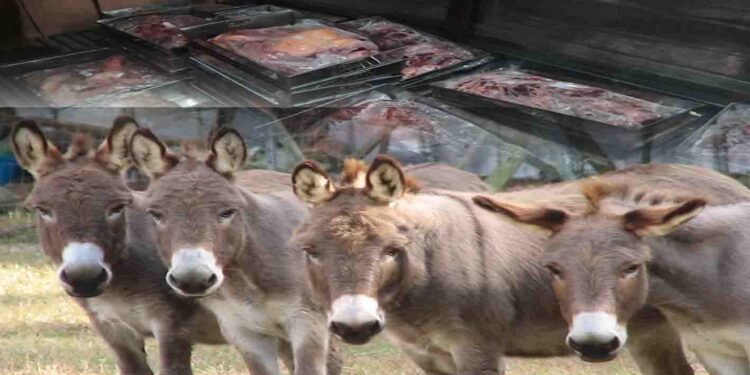 اسلام آباد میں گدھوں کے گوشت کی برآمدگی کے بعد فوڈ اتھارٹی کی ٹیم کارروائی کرتی ہوئی