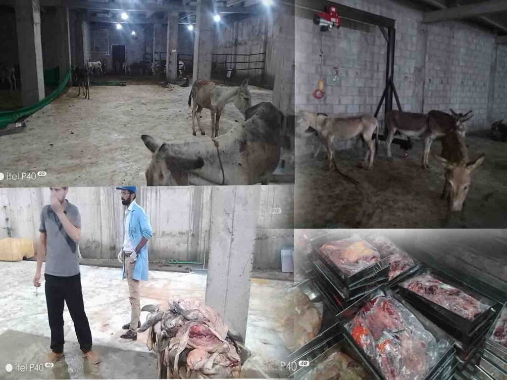 اسلام آباد میں گدھے کا گوشت فروخت کرنے والے غیر ملکی کا فارم ہاؤس