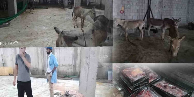 اسلام آباد میں گدھے کا گوشت فروخت کرنے والے غیر ملکی کا فارم ہاؤس