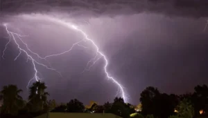 آسمانی بجلی گرنے کے بعد بہار میں کھیتوں میں تباہی کا منظر