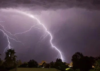 آسمانی بجلی گرنے کے بعد بہار میں کھیتوں میں تباہی کا منظر