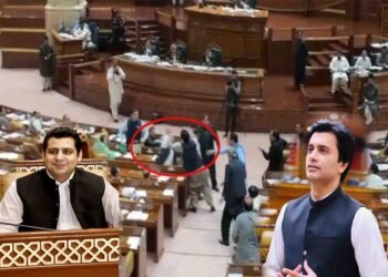پنجاب اسمبلی میں خالد نثار ڈوگر کا احسان ریاض کو تھپڑ مارنے کا منظر