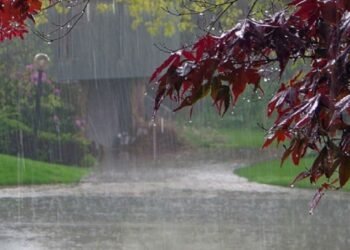 پاکستان کے مختلف علاقوں میں موسلادھار بارش، ندی نالے طغیانی کا شکار