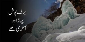 خاندانی دشمنی