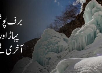 خاندانی دشمنی