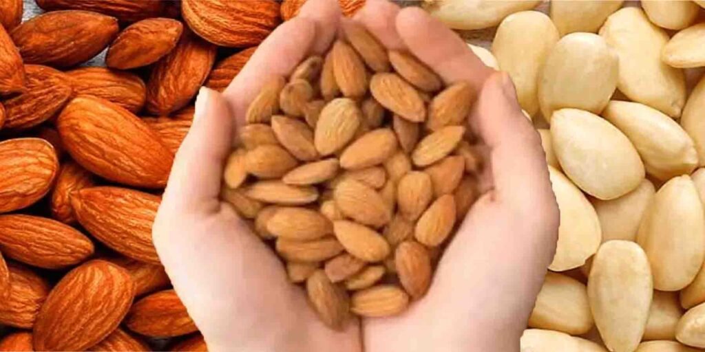 زیادہ بادام کھانا:زیادہ بادام کھانے سے دماغی صحت بہتر اور بڑھاپے میں یادداشت محفوظ رہتی ہے