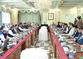 وزیراعظم شہباز شریف سیلاب سے متاثرہ علاقوں میں بحالی کے اقدامات پر خطاب کرتے ہوئے