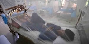 راولپنڈی میں انسدادِ ڈینگی ٹیم کا لاروا تلاش کرنے کا عمل