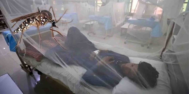 راولپنڈی میں انسدادِ ڈینگی ٹیم کا لاروا تلاش کرنے کا عمل