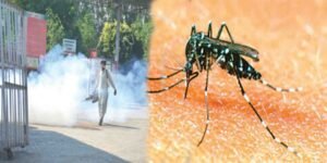 ڈینگی اسلام آباد میں 13 نئے کیسز رپورٹ