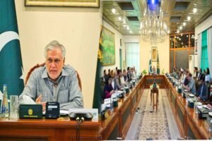 نائب وزیراعظم اسحاق ڈار SAP اسٹیئرنگ کمیٹی اجلاس کی صدارت کرتے ہوئے