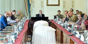 وزیراعظم شہباز شریف سیلابی صورتحال پر ہنگامی اجلاس کی صدارت کرتے ہوئے