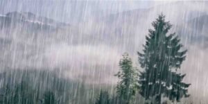 ‫29 اگست تا 2 ستمبر بارش کی پیشگوئی – پاکستان میں موسلادھار بارشوں اور ممکنہ خطرات کی تفصیل‬