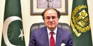 پی آئی اے کی نجکاری جلد متوقع، وزیر خزانہ کا اعلان