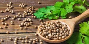 دھنیا کے فوائد