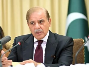 برآمدات میں اضافہ