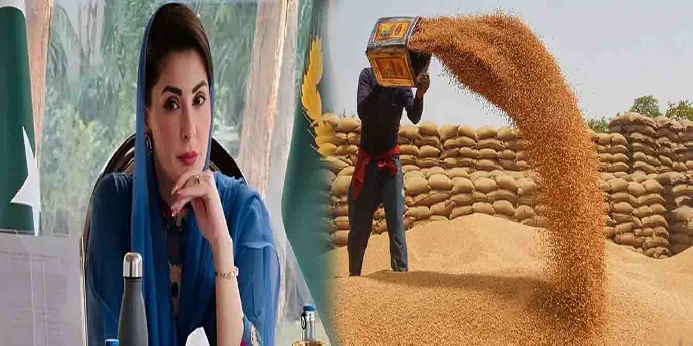 پنجاب حکومت کا گندم کی ذخیرہ اندوزی کے خلاف بڑا فیصلہ