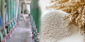 چاروں صوبوں کی فلور ملز کا وفاقی حکومت سے مطالبہ، گندم امپورٹ کی اجازت