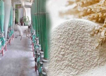 چاروں صوبوں کی فلور ملز کا وفاقی حکومت سے مطالبہ، گندم امپورٹ کی اجازت