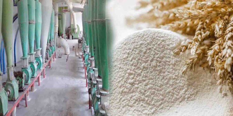 چاروں صوبوں کی فلور ملز کا وفاقی حکومت سے مطالبہ، گندم امپورٹ کی اجازت
