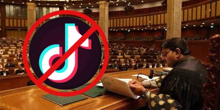 ٹک ٹاک لائیو پر پابندی
