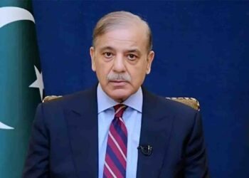 سیلاب متاثرین بجلی کا بل معاف