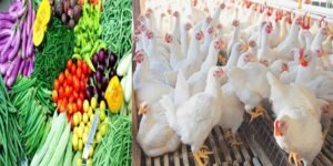 سبزیوں کے بعد مرغی کی قیمت میں بڑا اضافہ، کوئٹہ کی مارکیٹ کا منظر