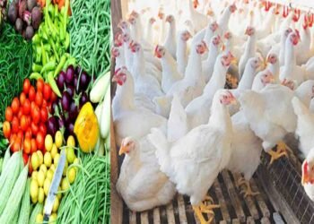 سبزیوں کے بعد مرغی کی قیمت میں بڑا اضافہ، کوئٹہ کی مارکیٹ کا منظر