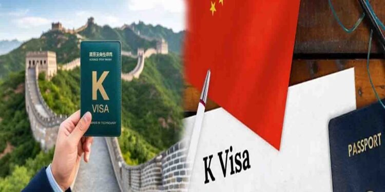 چین K ویزا نوجوان سائنسدانوں اور ماہرین کے لیے متعارف
