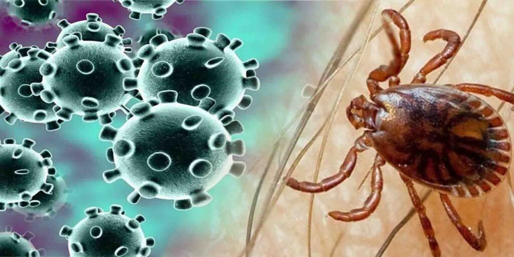 کراچی میں کانگو وائرس سے متاثرہ مریضوں کا علاج