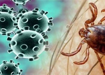 کراچی میں کانگو وائرس سے متاثرہ مریضوں کا علاج