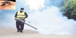 انسداد ڈینگی مہم میں غفلت برتنے والے ورکرز اور سپر وائزرز راولپنڈی میں نوکری سے برطرف"