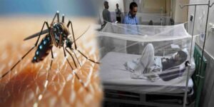 ڈینگی کے وار راولپنڈی میں جاری، 24 گھنٹوں میں 12 نئے کیسز