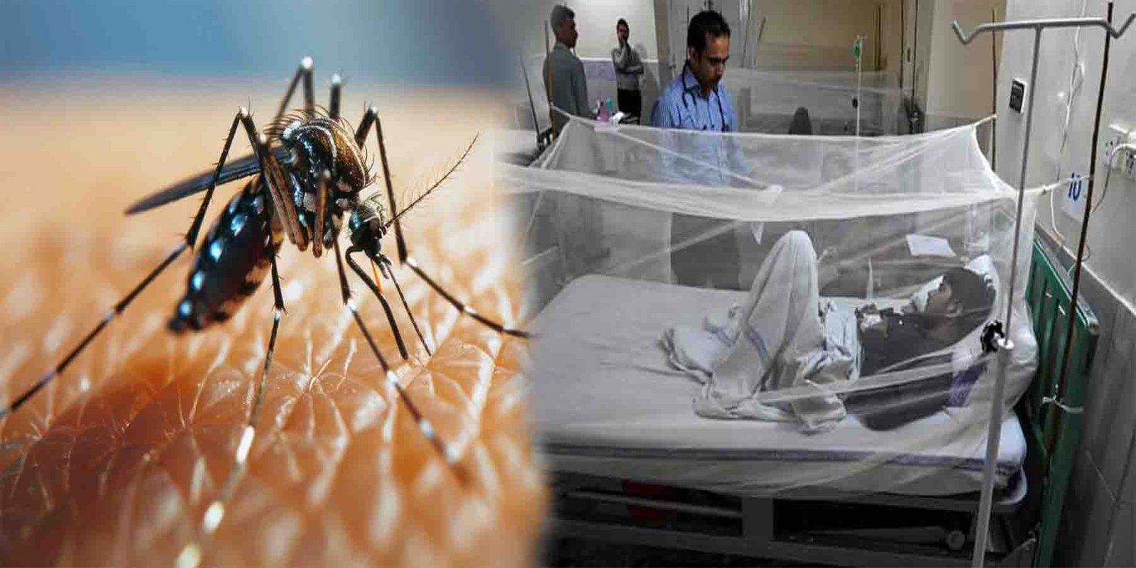 ڈینگی کے وار راولپنڈی میں جاری، 24 گھنٹوں میں 12 نئے کیسز