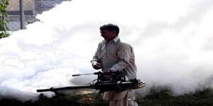 ڈینگی مریضوں کی تعداد میں اضافہ، اسپتالوں میں رش اور صورتحال سنگین