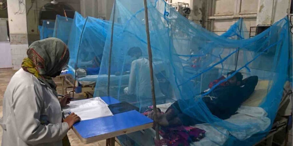 ڈینگی راولپنڈی