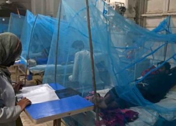 ڈینگی راولپنڈی