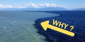 2 سمندروں کا ملاپ