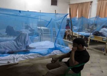 اسلام آباد ڈینگی کیسز میں اضافہ، اسپتالوں میں مریضوں کا علاج جاری