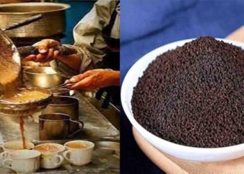 استعمال شدہ چائے کی پتی کے گھریلو فائدے