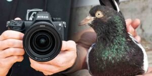 کبوتر کیمرہ