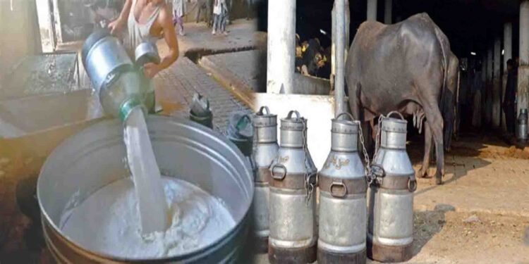 کراچی دودھ قیمت اضافہ پر ڈیری فارمرز کی پریس کانفرنس